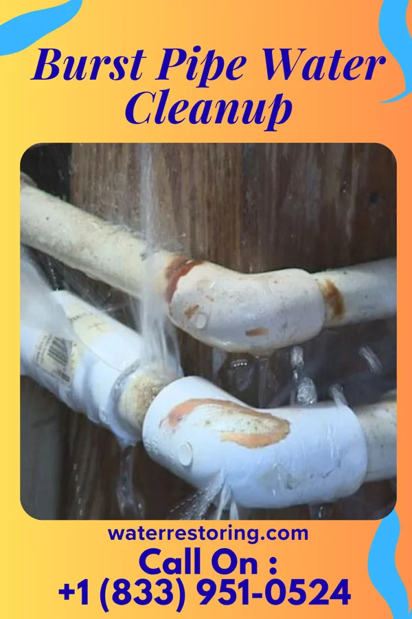 Burst Pipe Water Cleanup in Buckeye Lake, OH
