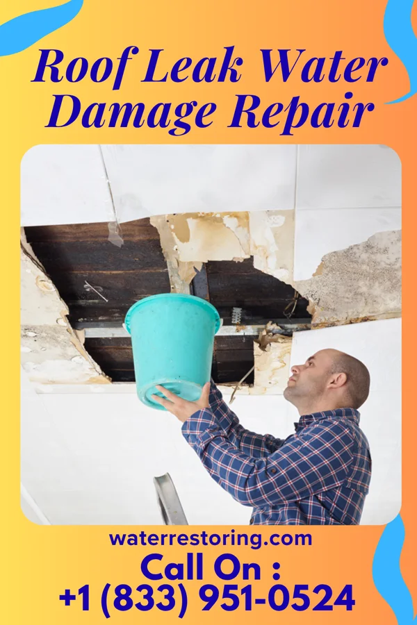 Roof Leak Water Damage Repair in Buckeye Lake, OH